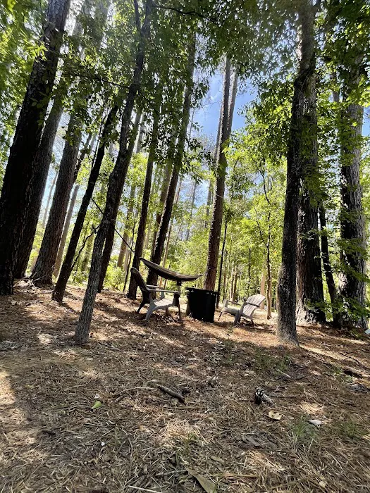 Rustic Pine RV Resort Picture 5