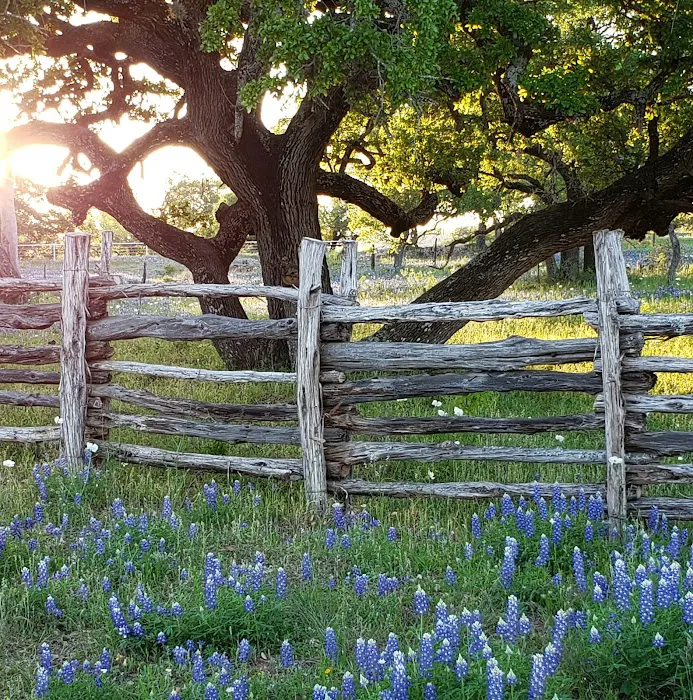 The Old Homeplace RV Park / Village Picture 2