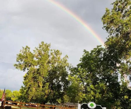 The Old Homeplace RV Park / Village