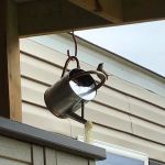 Land of Ease Senior Tiny Home Community