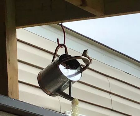 Land of Ease Senior Tiny Home Community