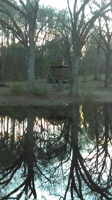 Land of Ease Senior Tiny Home Community Picture 9