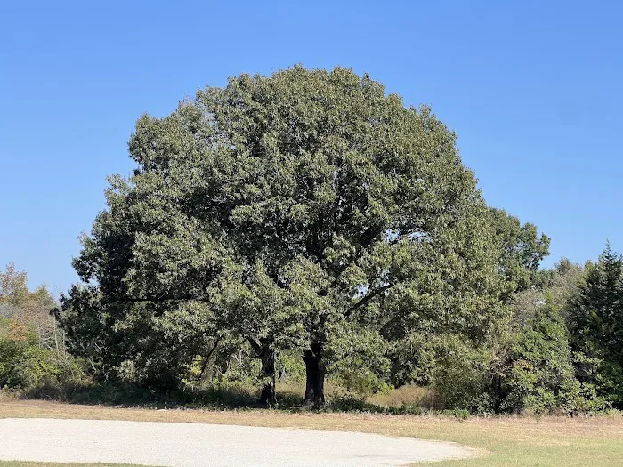 Three Oaks RV community Picture 6