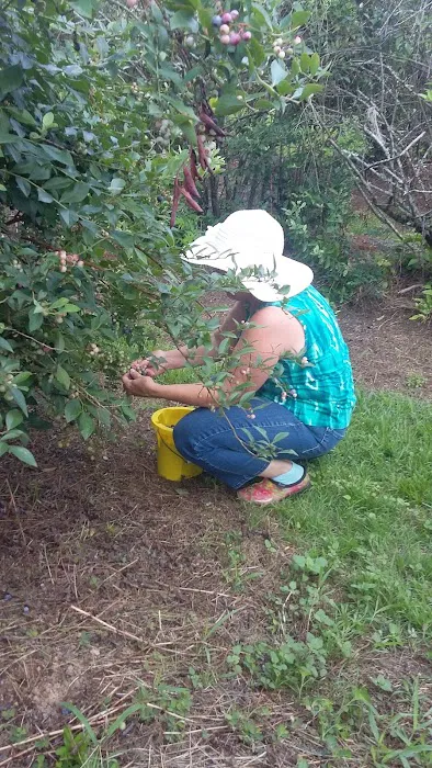 Drew Mobile Home Park Picture 2