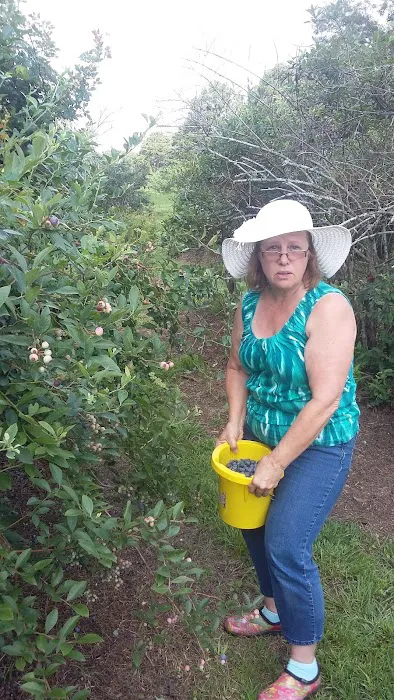 Drew Mobile Home Park Picture 4