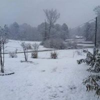 Caldwell Estates ico