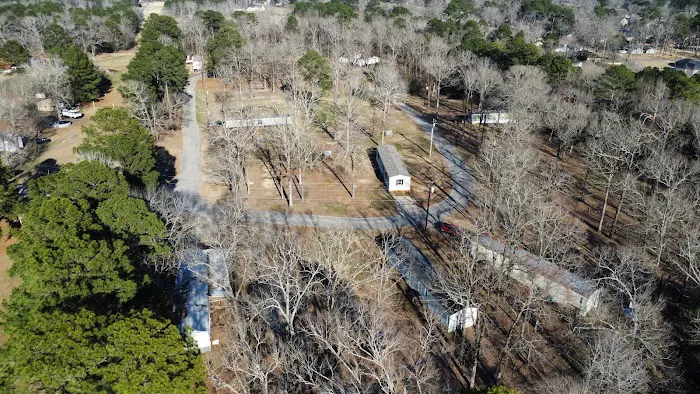 Forest Village Picture 2