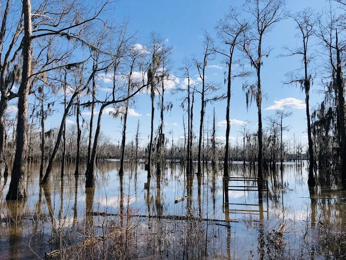 Cheniere Lake Mobile Home Park Picture 3