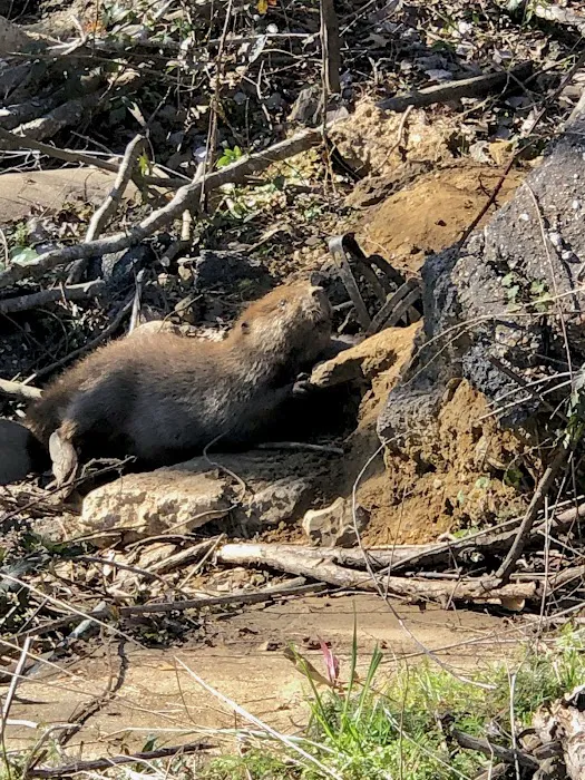 Cheniere Lake Mobile Home Park Picture 2