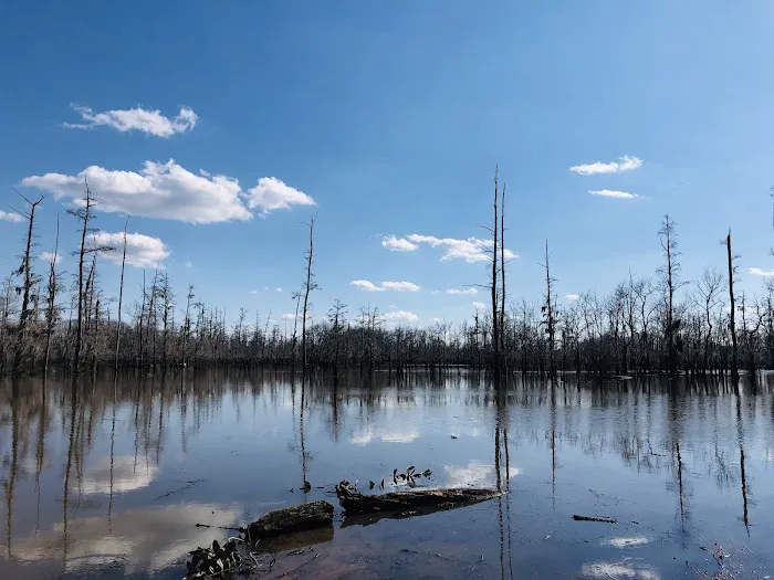 Cheniere Lake Mobile Home Park Picture 1