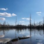 Cheniere Lake Mobile Home Park