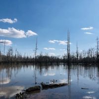 Cheniere Lake Mobile Home Park ico