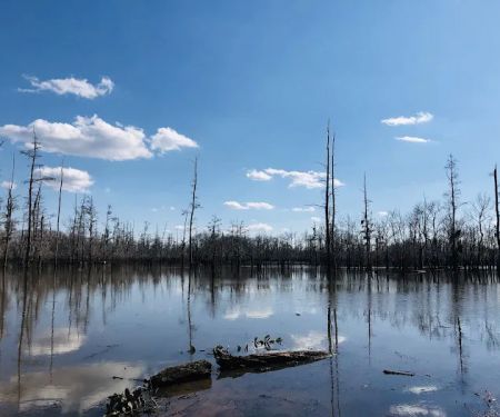 Cheniere Lake Mobile Home Park