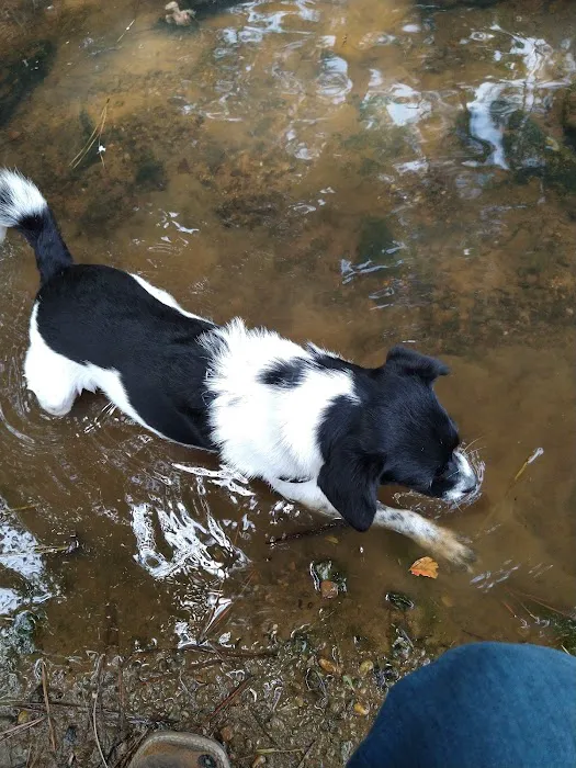 Magnolia Estates Picture 1