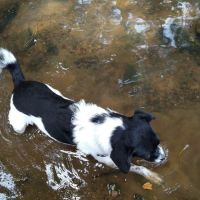 Magnolia Estates ico