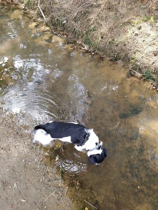 Magnolia Estates Picture 4