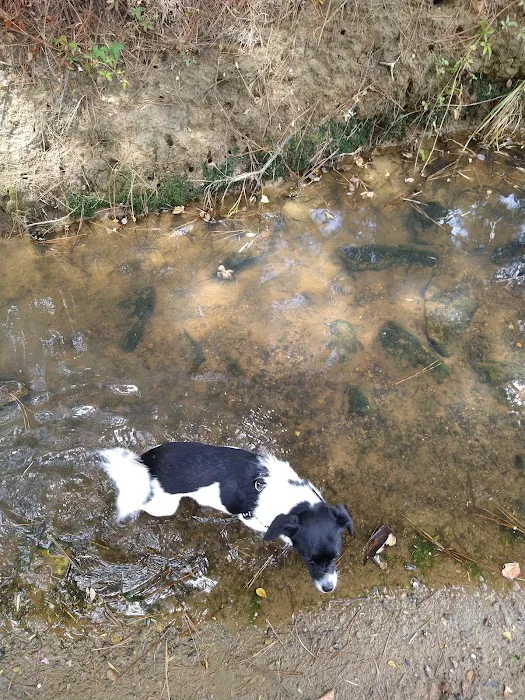 Magnolia Estates Picture 2