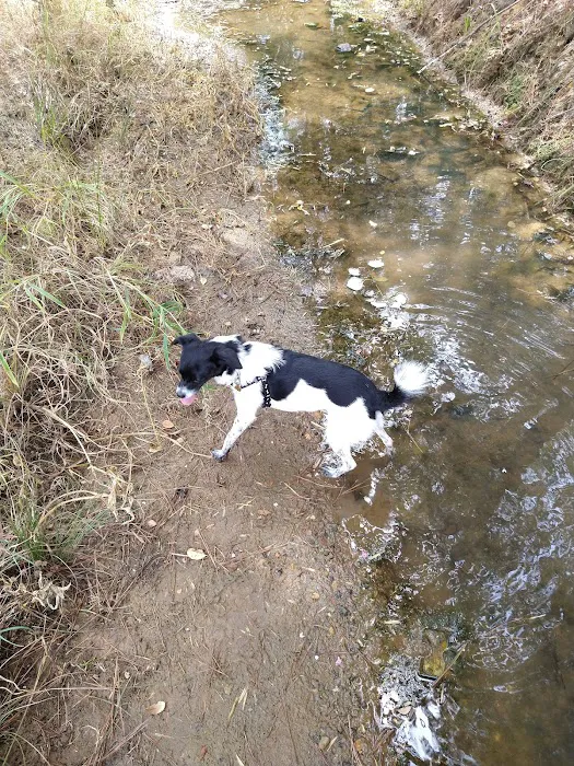 Magnolia Estates Picture 3