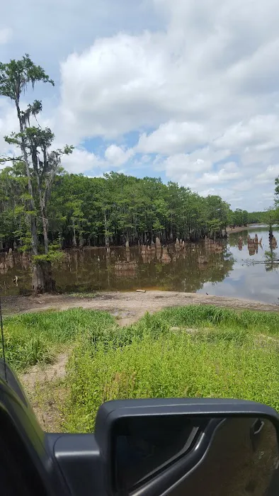 Pavilion RV Park Picture 4