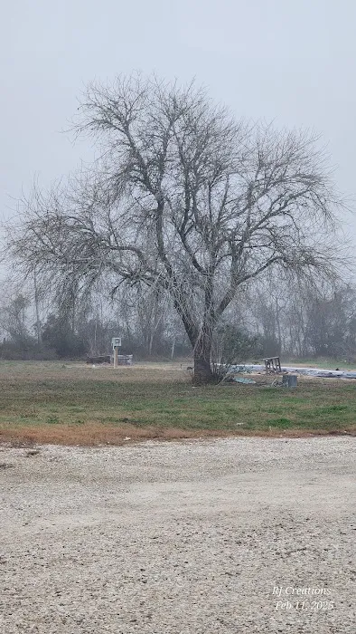 LanterLodge RV Park Picture 7