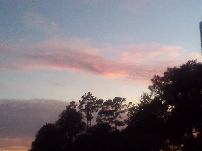 Meadow RV Park Picture 1