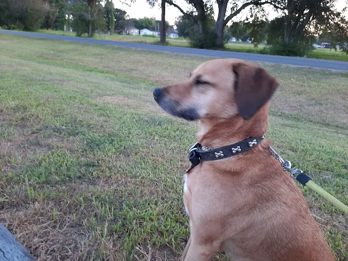 Meadow RV Park Picture 3