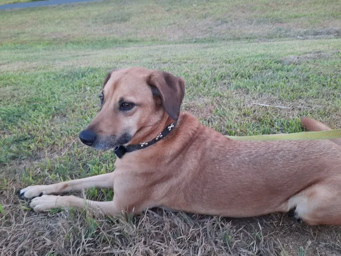 Meadow RV Park Picture 4