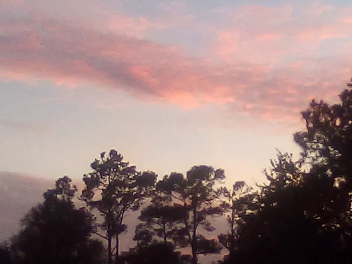 Meadow RV Park Picture 9