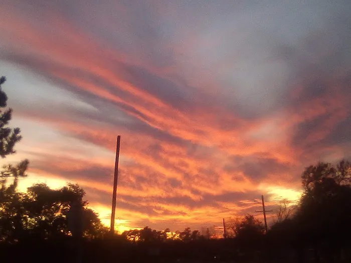 Meadow RV Park Picture 5