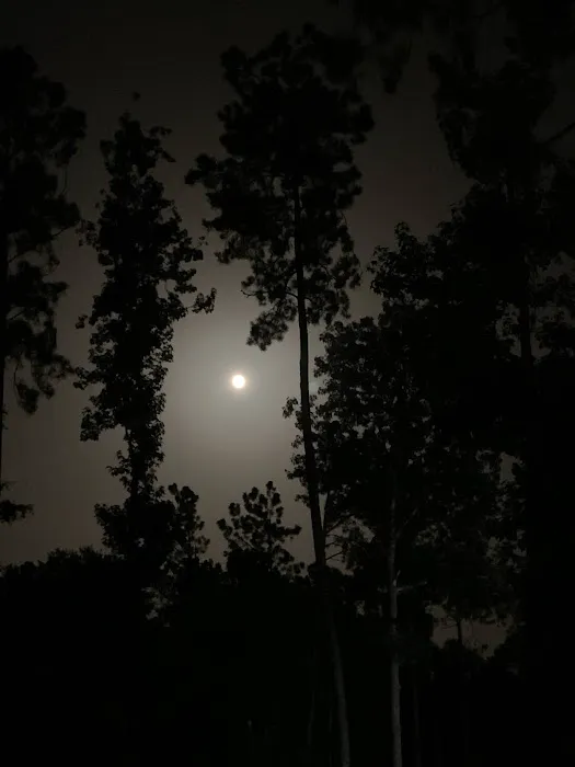 Rocky Creek RV Park Picture 7