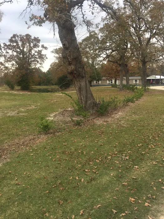 Cedar Oaks Rv Camp Picture 10