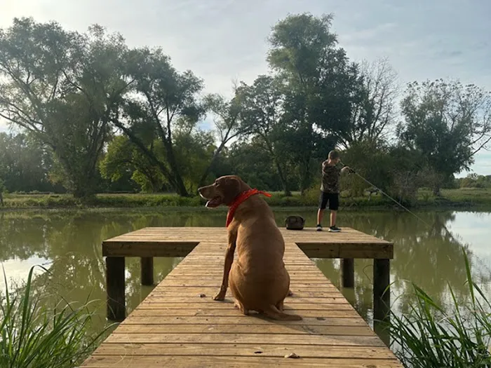 River Rat Resort Picture 6