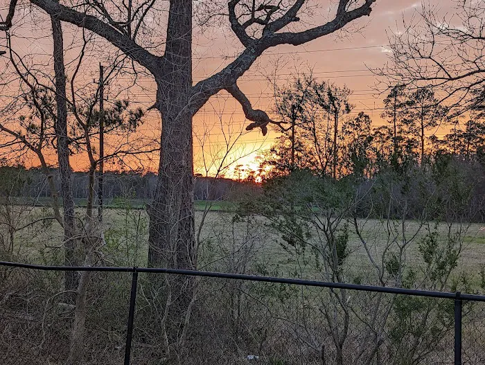Bayou Bend RV Resort Picture 5