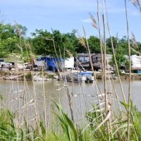Alligator Alley RV Park ico