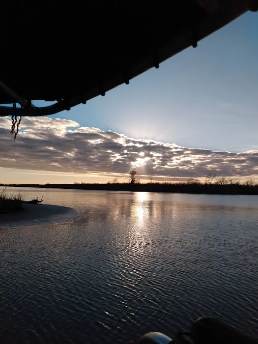 Alligator Alley RV Park Picture 8