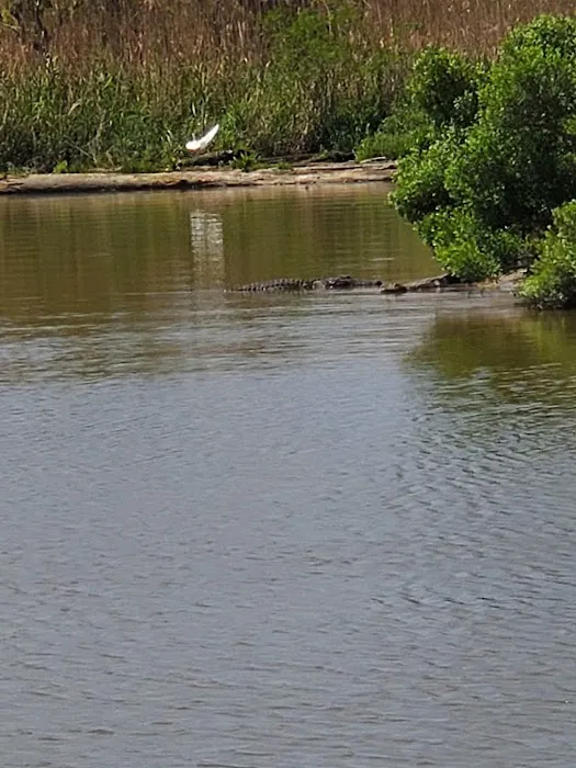 Alligator Alley RV Park Picture 7