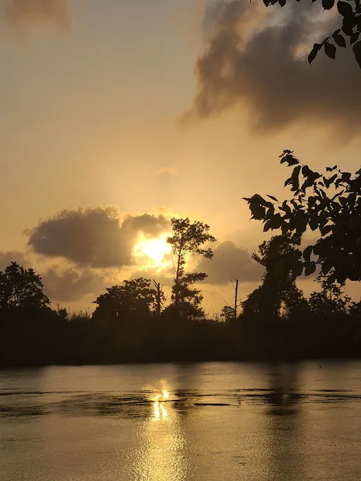 Alligator Alley RV Park Picture 9