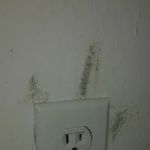 Sjolander Mobile Home Park