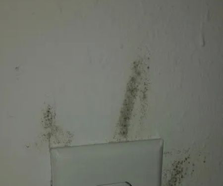 Sjolander Mobile Home Park