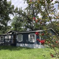 Forest Villas ico