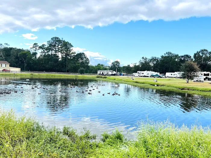 Cunningham Cove RV Park Picture 2
