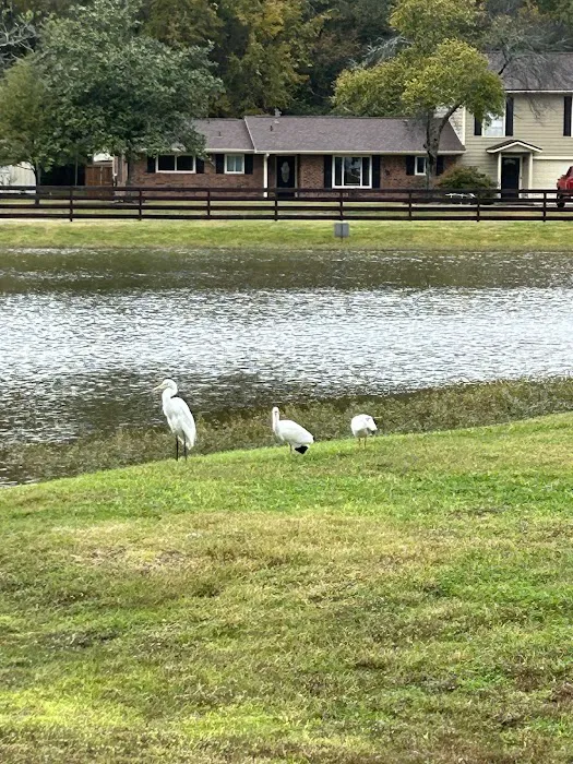 Cunningham Cove RV Park Picture 10