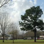 Bayou Country RV Park