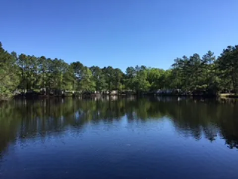 Lone Star Lakes RV Park Picture 7