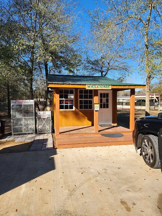 Legend's RV Resort Picture 6