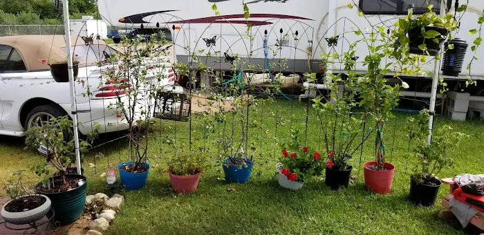 Hunter's RV Park: Office Picture 2