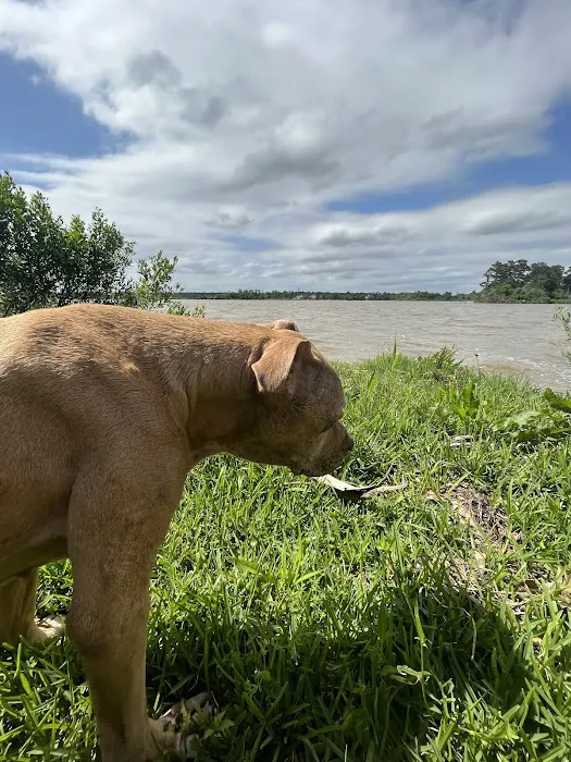 Eagles Pointe RV and Camping At The Highlands Picture 6