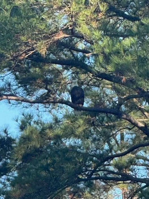 Blue Horizon RV Park Picture 4