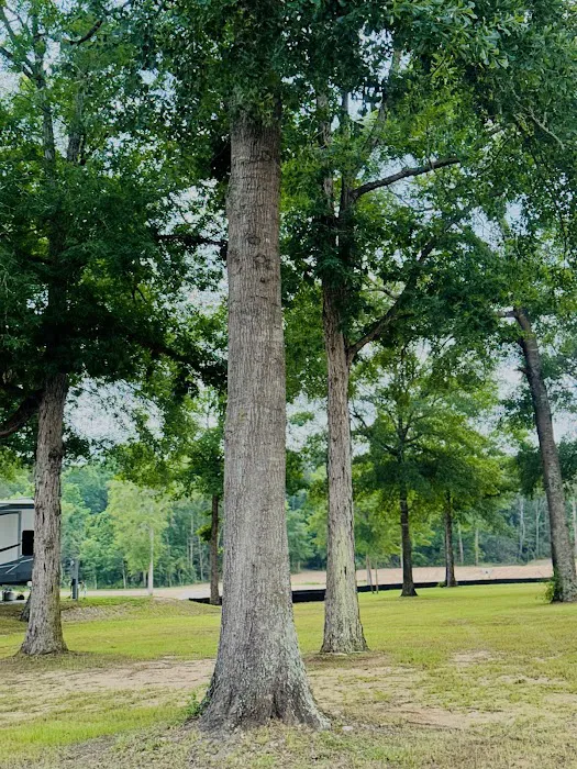 Rose Hill RV Park Picture 7