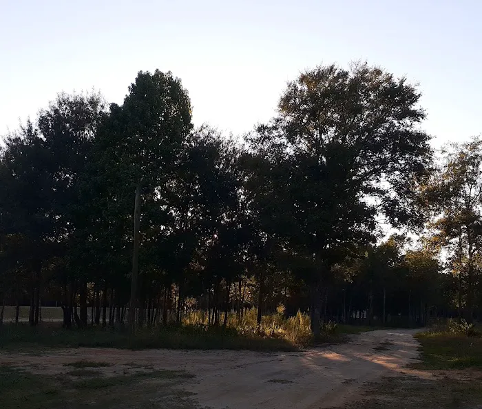 12 Acre Woods RV Park, LLC Picture 4